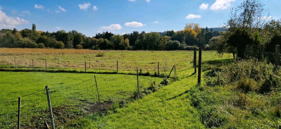 Mehrfamilienhaus, Wohnhaus Rieschweiler-Mühlbach Mühlbach - 85.000&euro; | Angebot:23133288