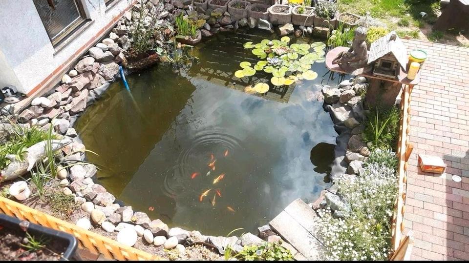 Einfamilienhaus Merchweiler - 329.000&euro; | Angebot:25362967