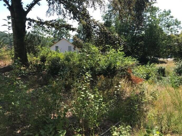 Grundstück Homburg Schwarzenbach - 588.000&euro; | Angebot:25697920