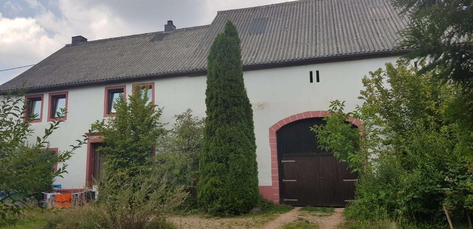 Bauernhaus, Landhaus Freisen - 7 Zimmer, 160 m&sup2;, 85.000&euro; | Angebot:26755103