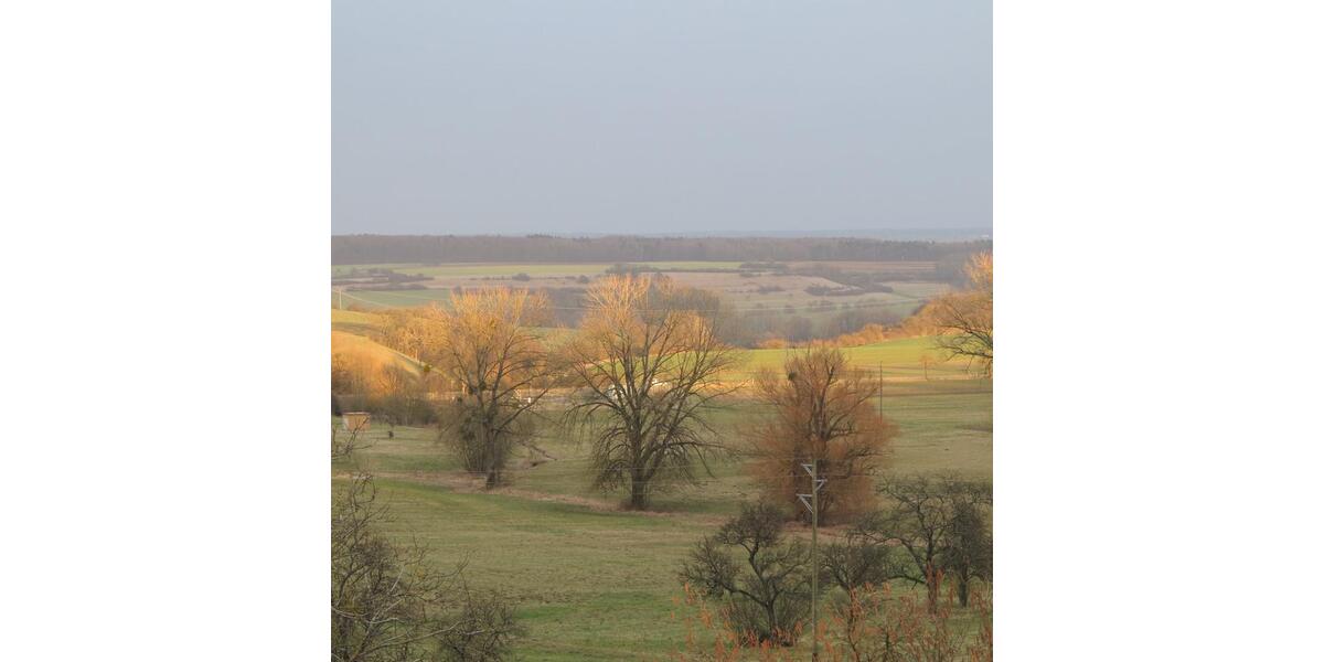 Etagenwohnung Gersheim - 5 Zimmer, 114 m&sup2;, 810&euro; | Angebot:25428078