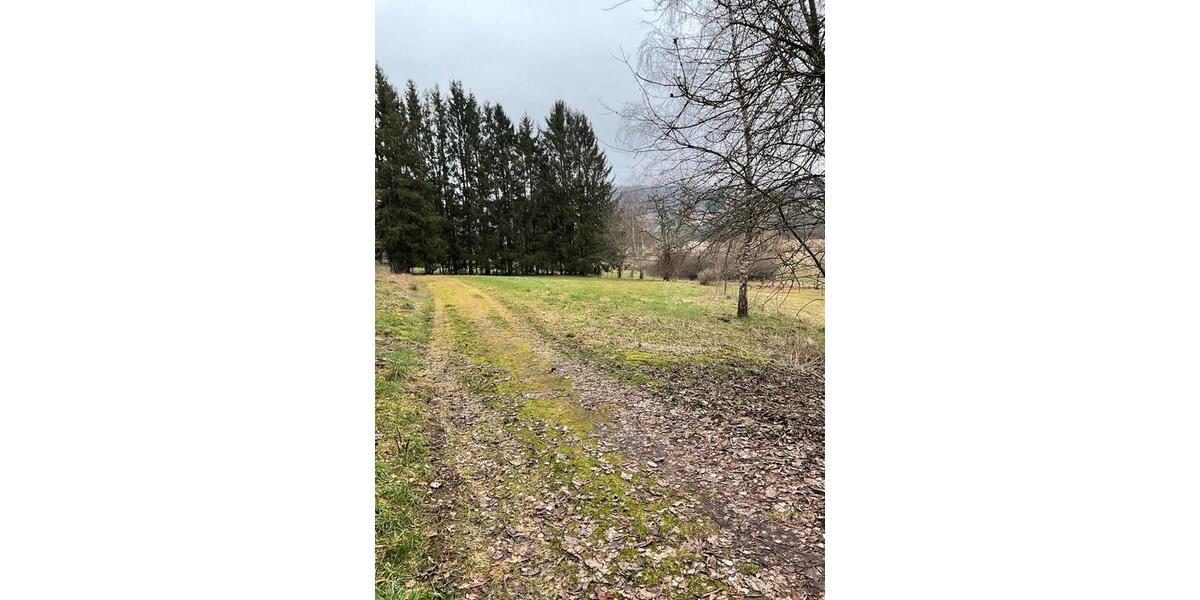 Einfamilienhaus Neunkirchen Heinitz - 10 Zimmer, 258 m&sup2;, 397.000&euro; | Angebot:24585956