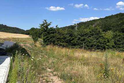 Grundstück Bechhofen - 130.000&euro; | Angebot:22108678