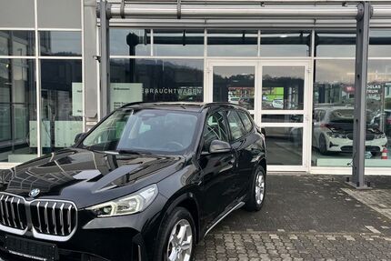BMW X1 95.100 km 30.850 &euro; Zweibrücken 66482