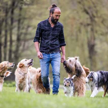 Sami El Ayachi - Der zugewandte Hund! 28.01.2027 Brunsviga