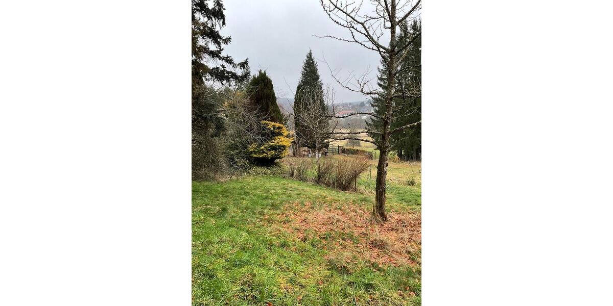 Einfamilienhaus Neunkirchen Heinitz - 10 Zimmer, 258 m&sup2;, 397.000&euro; | Angebot:24585956