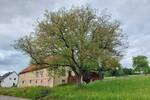Mehrfamilienhaus, Wohnhaus Blieskastel Brenschelbach - 6 Zimmer, 160 m&sup2;, 235.000&euro; | Angebot:26834317