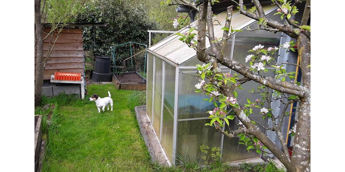 Einfamilienhaus Schiffweiler - 5 Zimmer, 108 m&sup2;, 148.000&euro; | Angebot:26279291