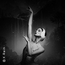Grand Classic Ballet - Schwanensee - Jenseits der Bühne mit live Streichquartett 11.10.2026 Haus des Bürgers