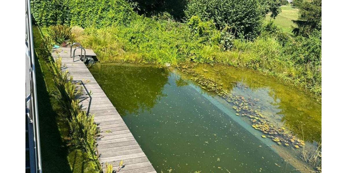 Mehrfamilienhaus, Wohnhaus Niedermohr-Schrollbach Schrollbach - 1 Zimmer, 270 m&sup2;, 348.000&euro; | Angebot:25675952