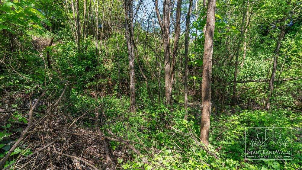 Grundstück Lemberg - 68.728&euro; | Angebot:25733487