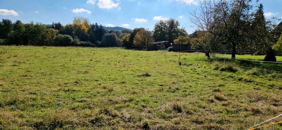 Mehrfamilienhaus, Wohnhaus Rieschweiler-Mühlbach Mühlbach - 85.000&euro; | Angebot:23133288