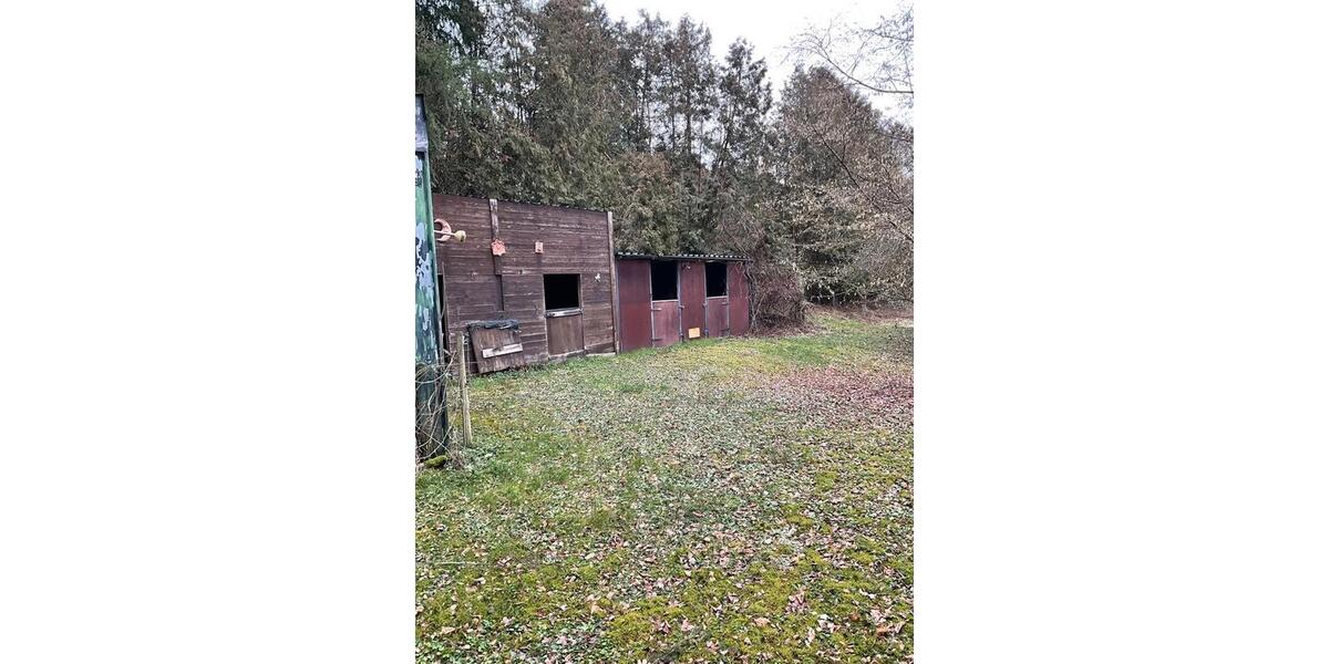 Einfamilienhaus Neunkirchen Heinitz - 10 Zimmer, 258 m&sup2;, 397.000&euro; | Angebot:24585956