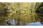 Teichanwesen mitten im Wald Südwestpfalz - Grundstück Biedershausen | Angebot:19798978