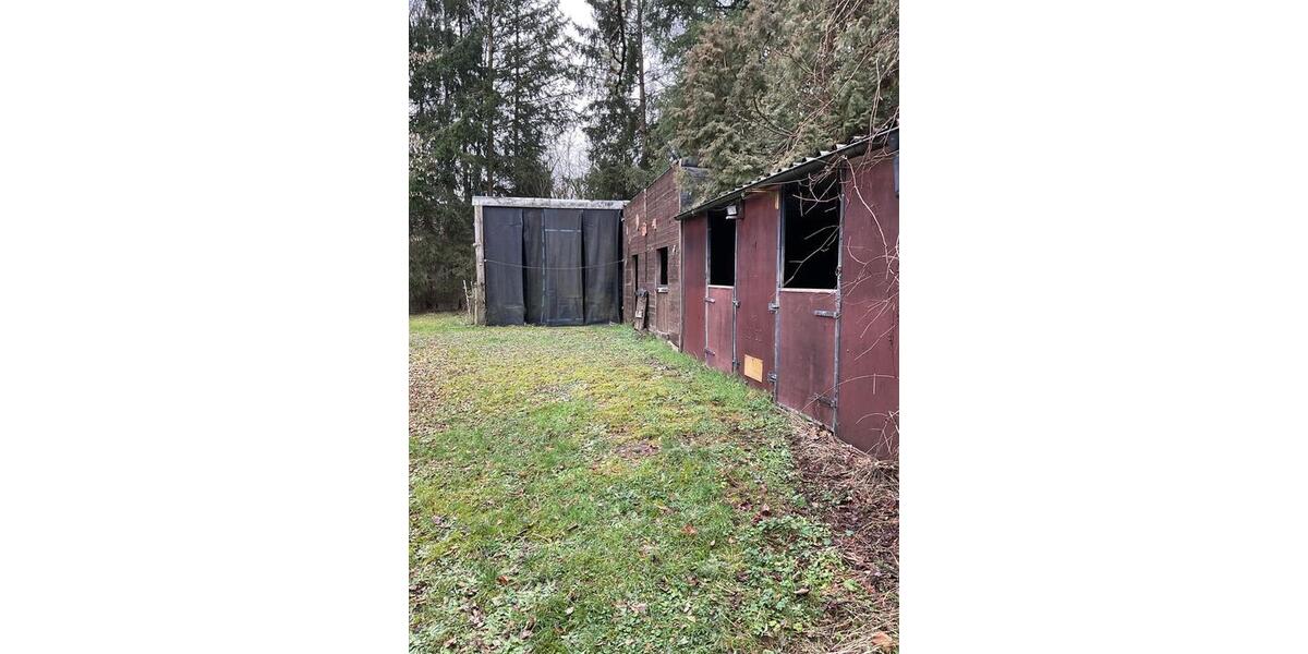 Einfamilienhaus Neunkirchen Heinitz - 10 Zimmer, 258 m&sup2;, 397.000&euro; | Angebot:24585956