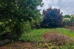 Mehrfamilienhaus, Wohnhaus Battweiler - 548.590&euro; | Angebot:26752505