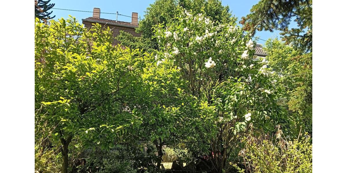 Einfamilienhaus Spiesen-Elversberg Elversberg - 333.000&euro; | Angebot:26232675