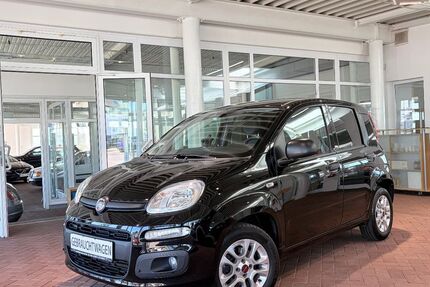 Fiat Panda 43.100 km 9.750 &euro; Homburg/Saar 66424