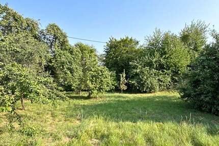 Grundstück Illingen - 450.000&euro; | Angebot:27257603