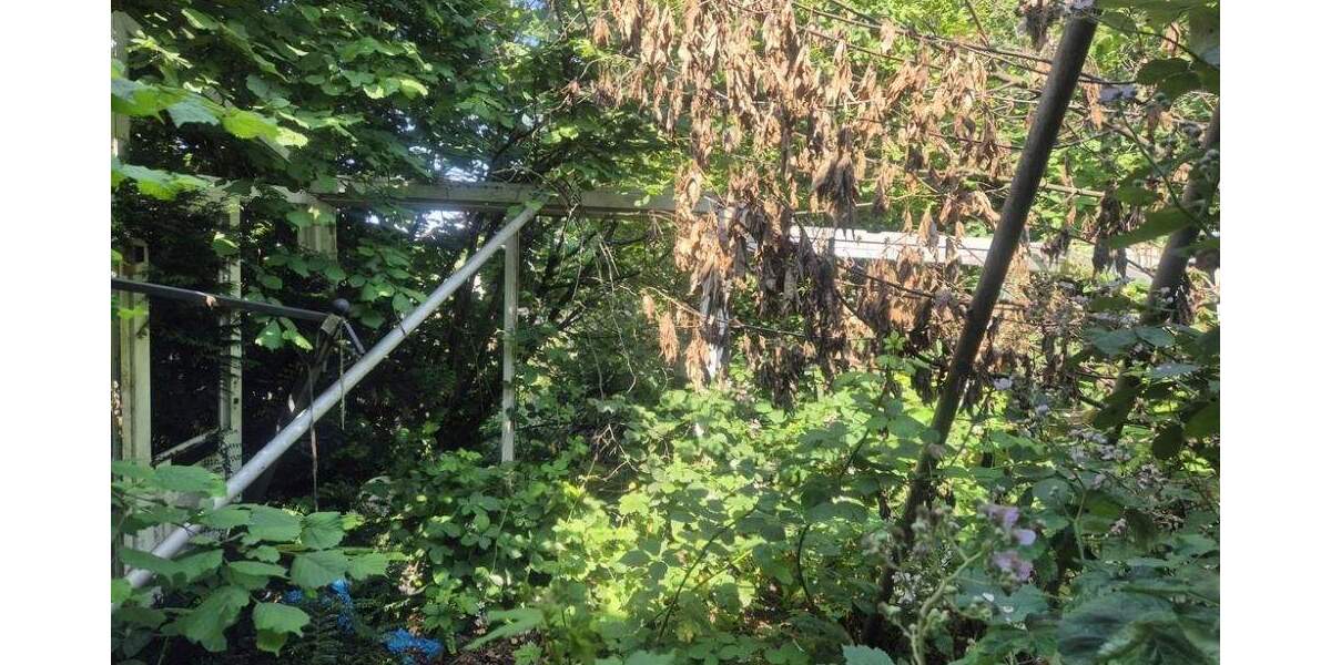 Etagenwohnung Kröppen - 2 Zimmer, 259 m&sup2;, 73.000&euro; | Angebot:25706028