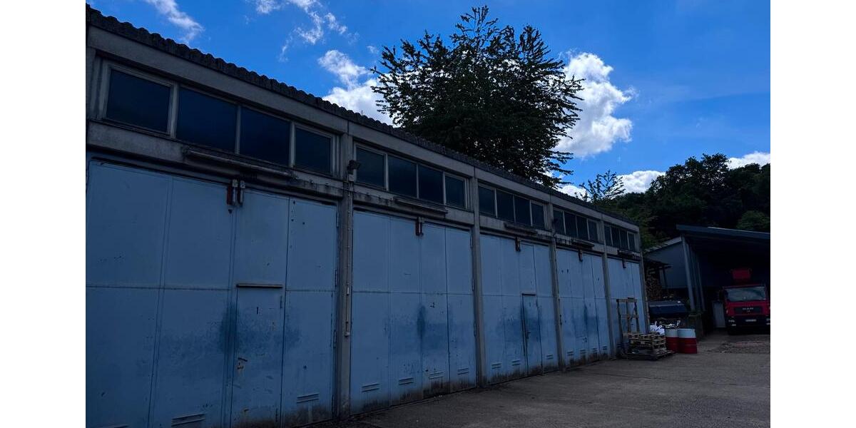 Einfamilienhaus Zweibrücken - 5 Zimmer, 300 m&sup2;, 790.000&euro; | Angebot:26992848