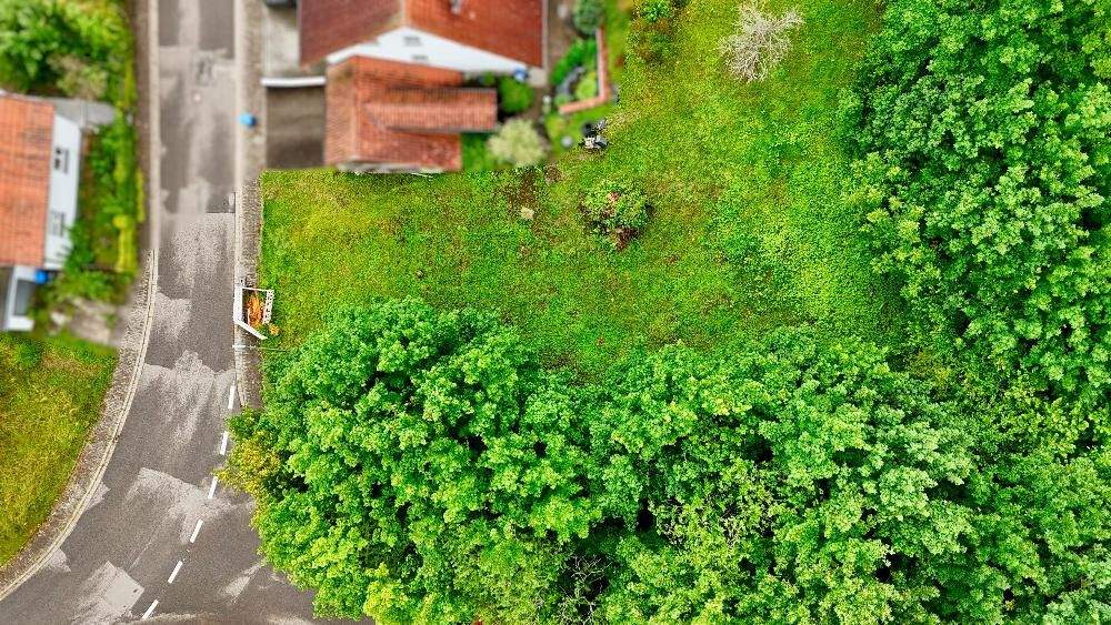 Grundstück Kröppen - 39.000&euro; | Angebot:25706016