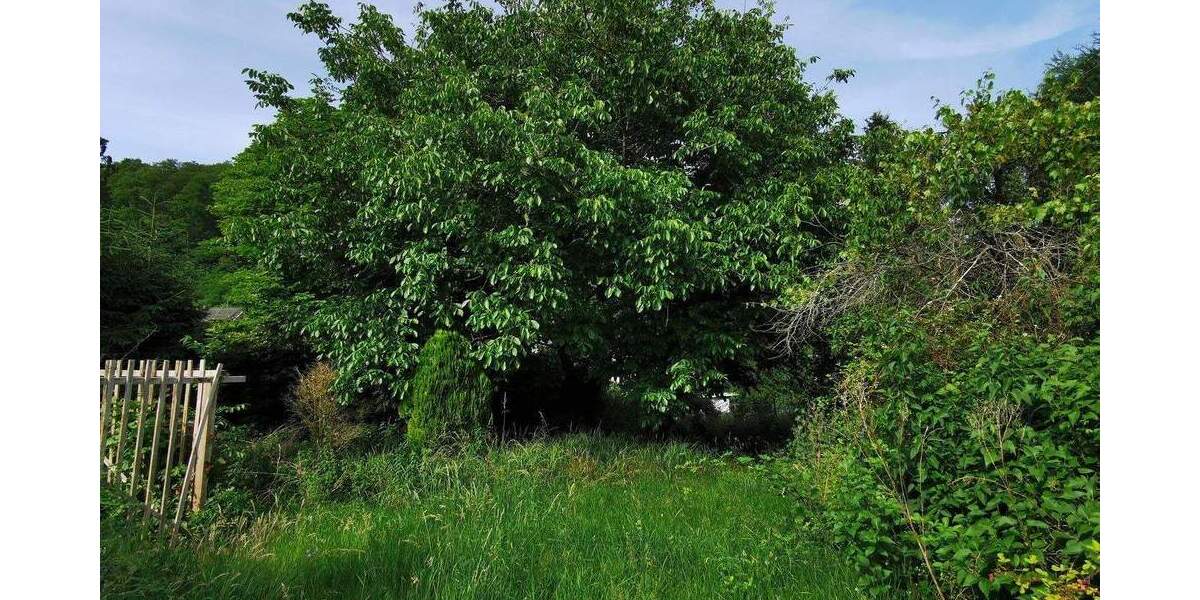 Mehrfamilienhaus, Wohnhaus Blieskastel Bierbach - 9 Zimmer, 220 m&sup2;, 159.000&euro; | Angebot:25760491