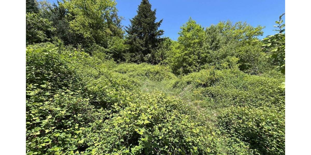 Einfamilienhaus Neunkirchen/Wellesweiler Wellesweiler - 6 Zimmer, 160 m&sup2;, 269.000&euro; | Angebot:25775784