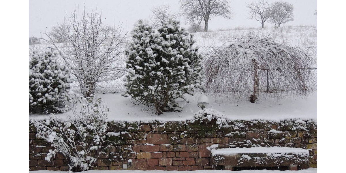 Einfamilienhaus Pirmasens Zweibrücken Nünschweiler - 5 Zimmer, 181 m&sup2;, 495.000&euro; | Angebot:25992803