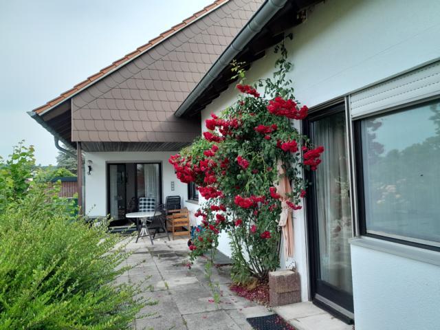 Großzügiges Wohnhaus mit ELW zentral zwischen Homburg und Zweibrücken - Mehrfamilienhaus, Wohnhaus Homburg | Angebot:19962487