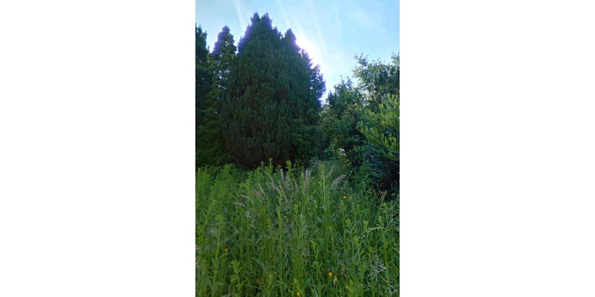 Etagenwohnung Herschweiler-Pettersheim Pettersheim - 2 Zimmer, 73 m&sup2;, 500&euro; | Angebot:25137370