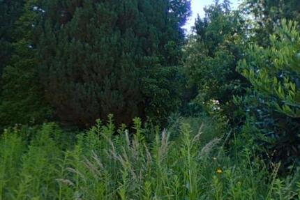 Wohnung Herschweiler-Pettersheim Pettersheim - 2 Zimmer, 73 m&sup2;, 500&euro; | Angebot:25137370