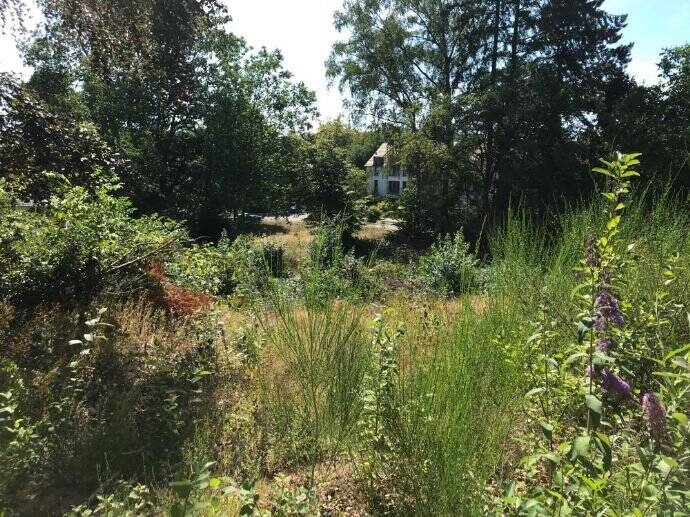 Grundstück Homburg Schwarzenbach - 588.000&euro; | Angebot:25697920