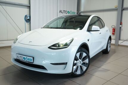 Tesla Model Y 109.890 km 32.900 &euro; Homburg 66424