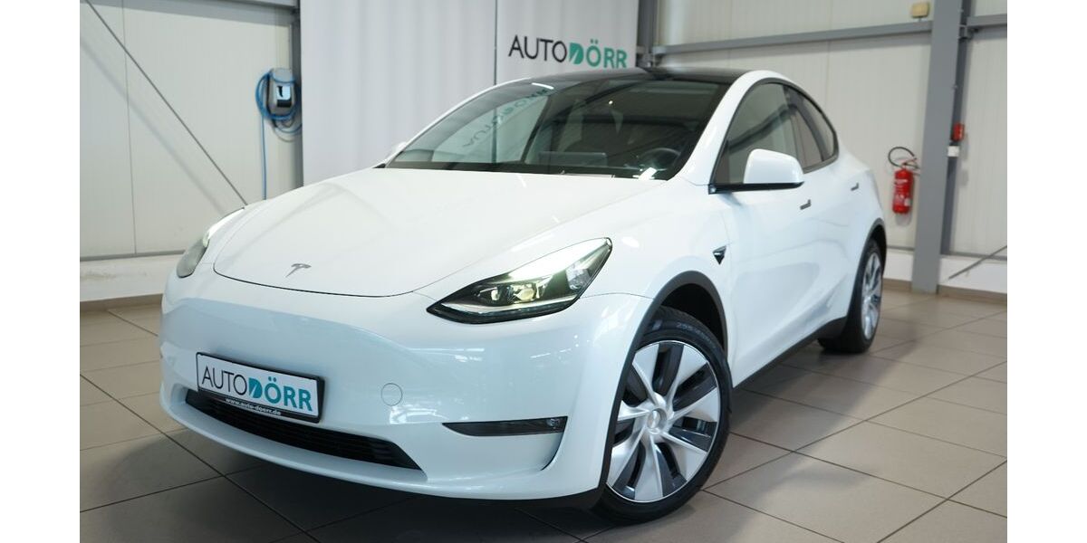 Tesla Model Y 109.890 km 32.900 &euro; Homburg 66424