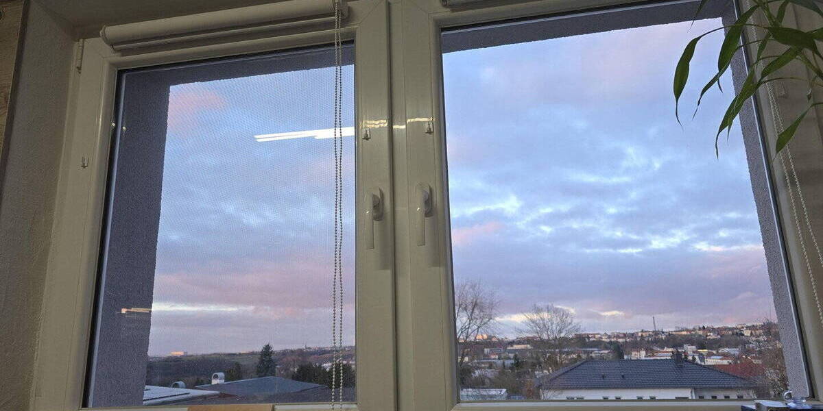 Einfamilienhaus Pirmasens Innenstadt - 6 Zimmer, 300 m&sup2;, 1.300.000&euro; | Angebot:26023380