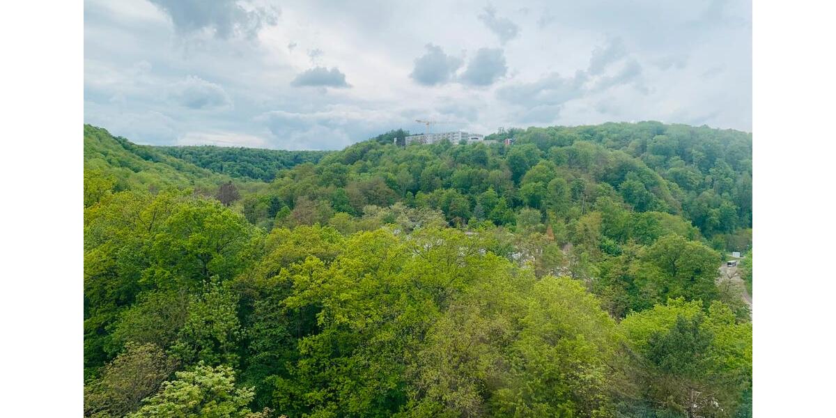 Etagenwohnung Saarbrücken St. Arnual - 3 Zimmer, 71 m&sup2;, 119.000&euro; | Angebot:25456678