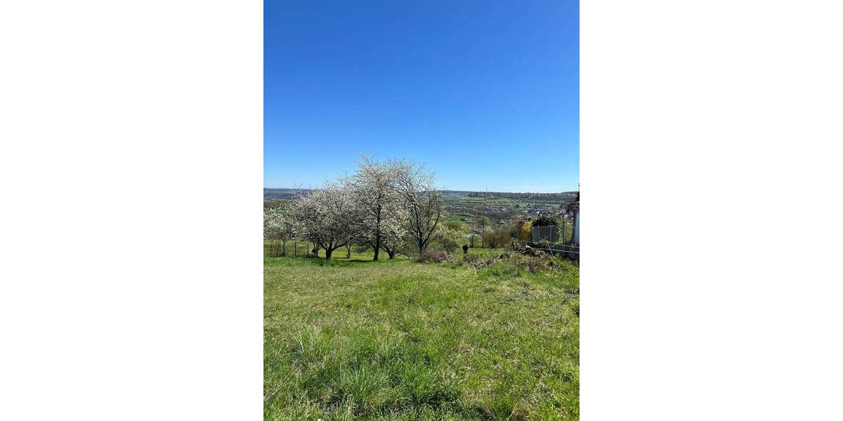 Grundstück Blieskastel Biesingen - 147.800&euro; | Angebot:26154364