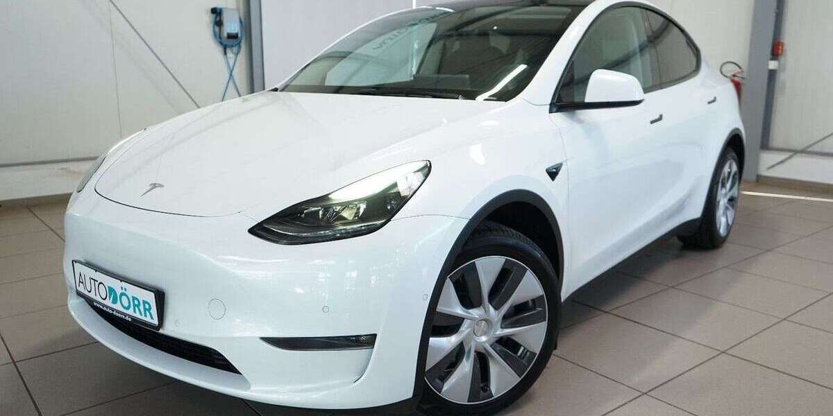 Tesla Model Y 96.300 km 29.900 &euro; Homburg 66424