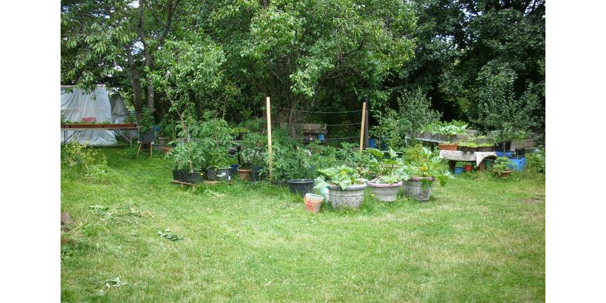Bauernhaus, Landhaus Freisen - 7 Zimmer, 160 m&sup2;, 85.000&euro; | Angebot:26755103