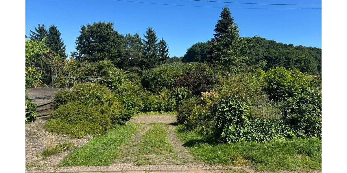 Mehrfamilienhaus, Wohnhaus Niedermohr-Schrollbach Schrollbach - 1 Zimmer, 270 m&sup2;, 348.000&euro; | Angebot:25675952