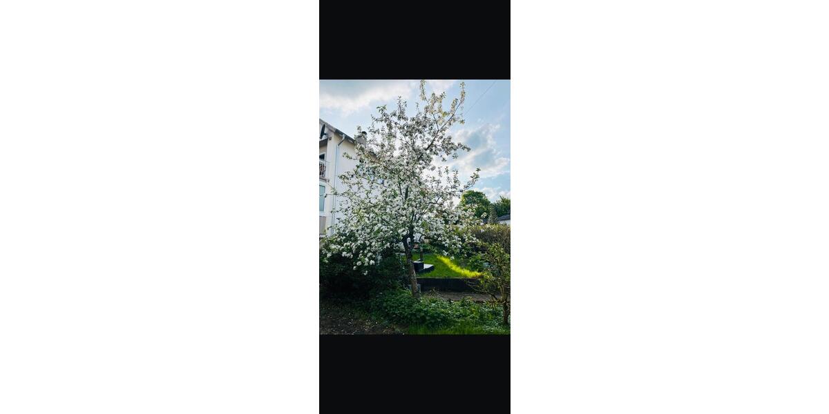 Etagenwohnung Riegelsberg - 3 Zimmer, 75 m&sup2;, 630&euro; | Angebot:25993390