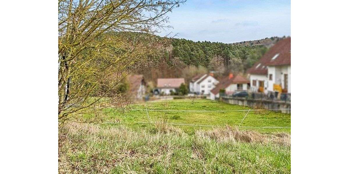 Grundstück Queidersbach - 178.500&euro; | Angebot:25830263