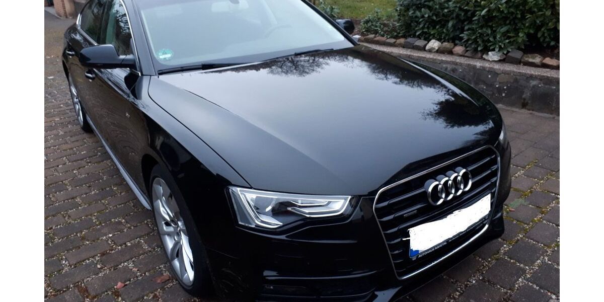 Audi A5 191.500 km 13.700 &euro; Freisen 66629