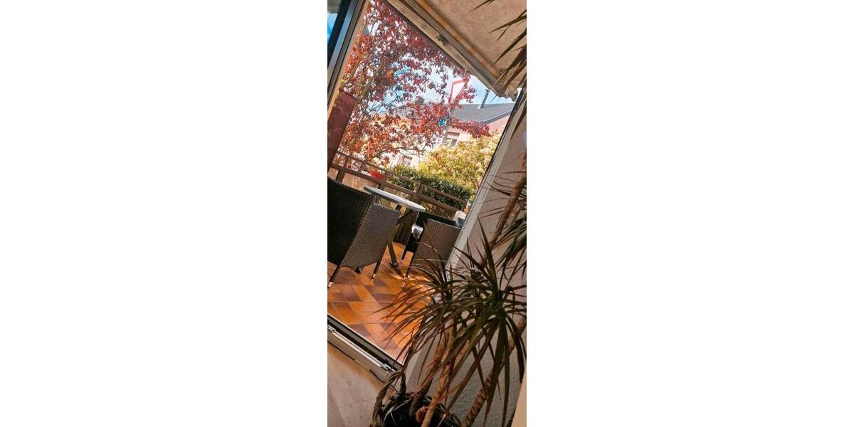 Erdgeschoßwohnung Homburg - 1 Zimmer, 39 m&sup2;, 480&euro; | Angebot:26656352