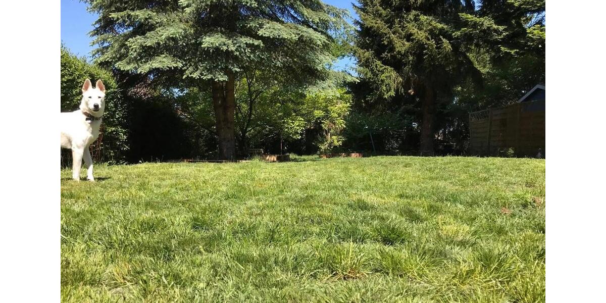 Doppelhaushälfte Saarbrücken Dudweiler - 7 Zimmer, 185 m&sup2;, 240.000&euro; | Angebot:26090767