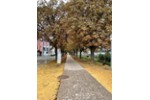 Dachgeschoßwohnung Zweibrücken - 3 Zimmer, 77 m&sup2;, 129.000&euro; | Angebot:27231709