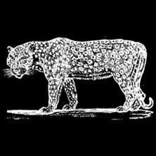 Willkommen im Dschungel Festival ticket - 16th edition 27.03.2027 KINETT Kusel