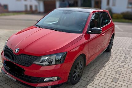 Skoda Fabia 96.500 km 9.495 &euro; Rieschweiler-Mühlbach 66509