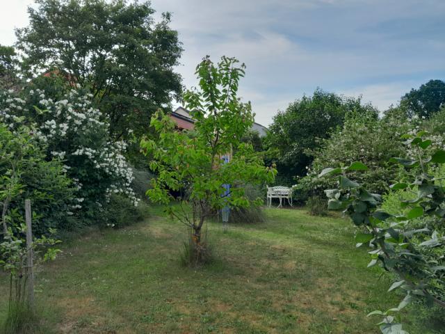 Großzügiges Wohnhaus mit ELW zentral zwischen Homburg und Zweibrücken - Mehrfamilienhaus, Wohnhaus Homburg | Angebot:19962487